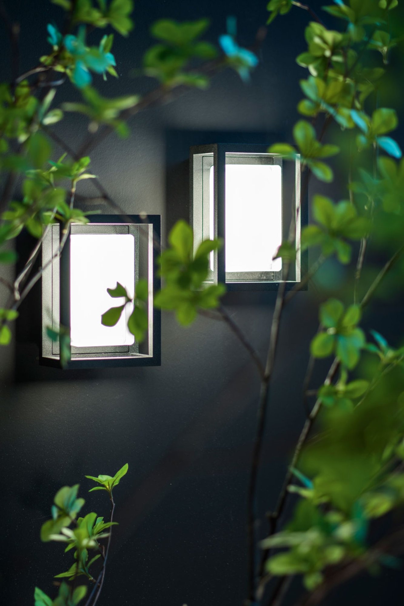 MONTUR MINI M LED настенно-потолочный накладной светильник Delta Light 5